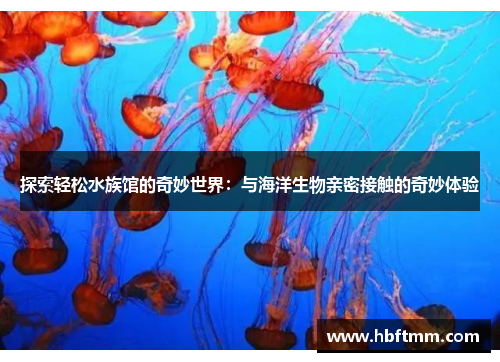 探索轻松水族馆的奇妙世界：与海洋生物亲密接触的奇妙体验